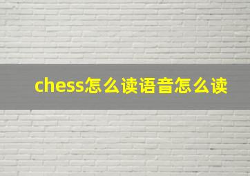 chess怎么读语音怎么读