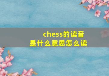 chess的读音是什么意思怎么读