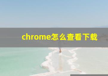 chrome怎么查看下载