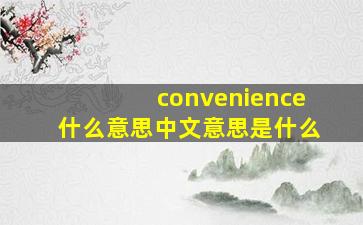 convenience什么意思中文意思是什么