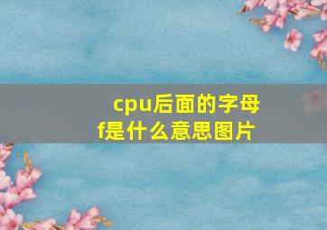 cpu后面的字母f是什么意思图片