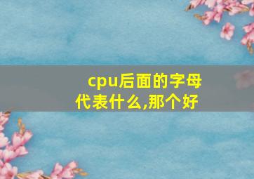 cpu后面的字母代表什么,那个好