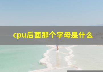 cpu后面那个字母是什么