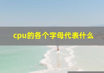 cpu的各个字母代表什么