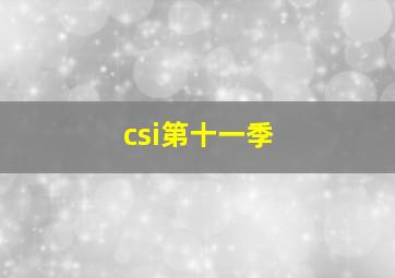 csi第十一季