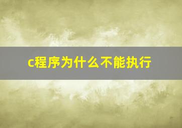 c程序为什么不能执行