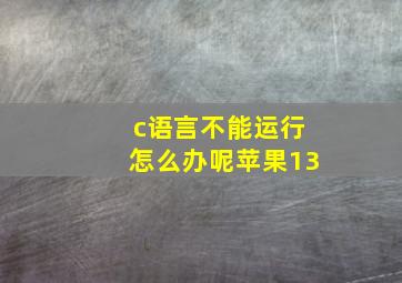 c语言不能运行怎么办呢苹果13