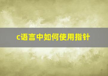 c语言中如何使用指针