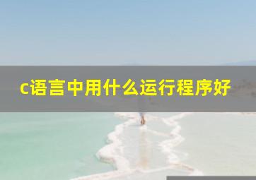 c语言中用什么运行程序好