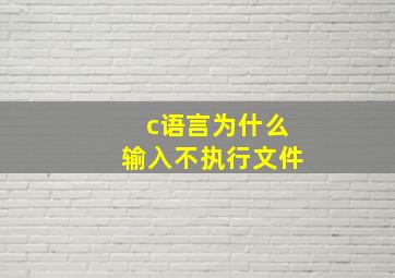 c语言为什么输入不执行文件