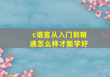 c语言从入门到精通怎么样才能学好