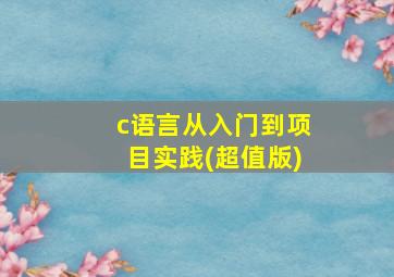 c语言从入门到项目实践(超值版)