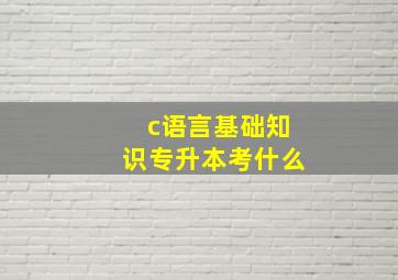 c语言基础知识专升本考什么