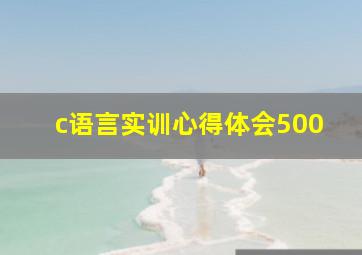 c语言实训心得体会500