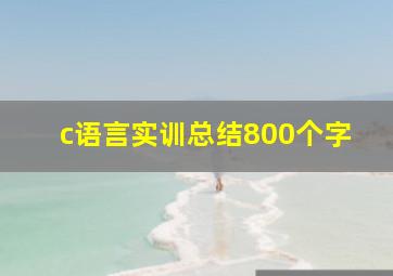 c语言实训总结800个字