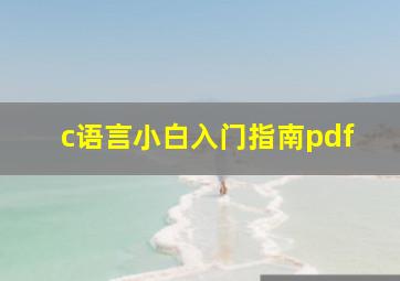 c语言小白入门指南pdf