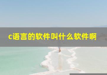 c语言的软件叫什么软件啊