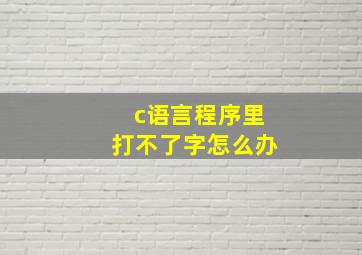 c语言程序里打不了字怎么办