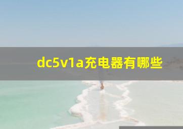 dc5v1a充电器有哪些