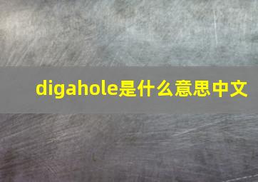 digahole是什么意思中文