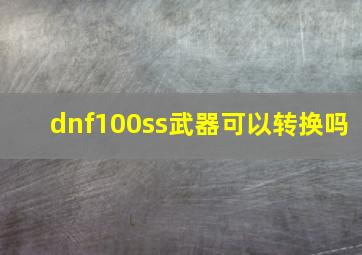 dnf100ss武器可以转换吗