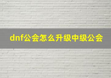 dnf公会怎么升级中级公会