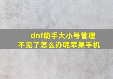 dnf助手大小号管理不见了怎么办呢苹果手机