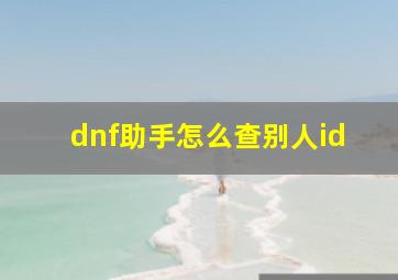 dnf助手怎么查别人id