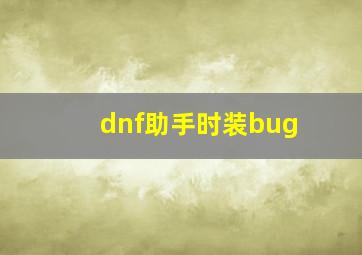 dnf助手时装bug