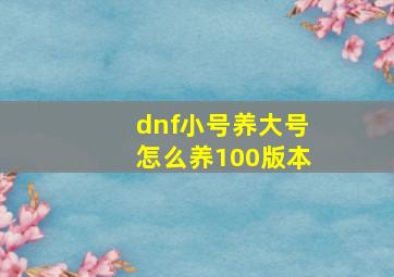 dnf小号养大号怎么养100版本