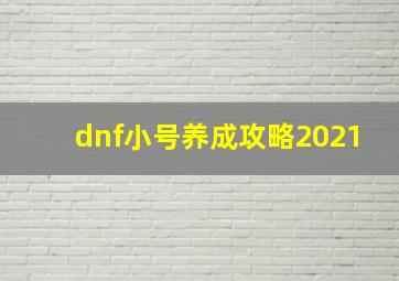 dnf小号养成攻略2021