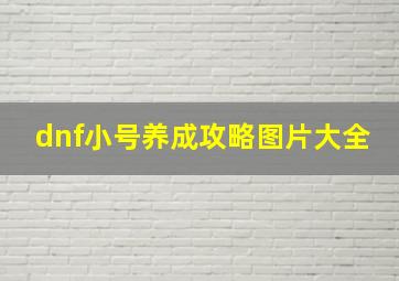 dnf小号养成攻略图片大全