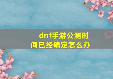 dnf手游公测时间已经确定怎么办