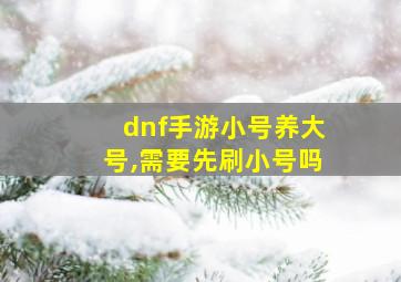 dnf手游小号养大号,需要先刷小号吗