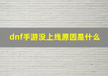 dnf手游没上线原因是什么