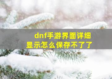 dnf手游界面详细显示怎么保存不了了