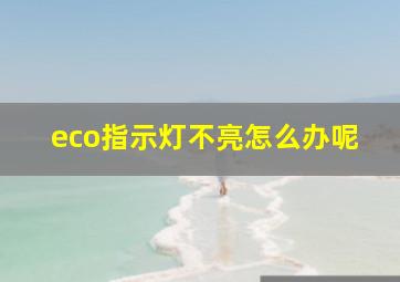 eco指示灯不亮怎么办呢