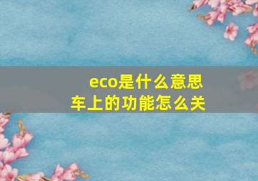 eco是什么意思车上的功能怎么关