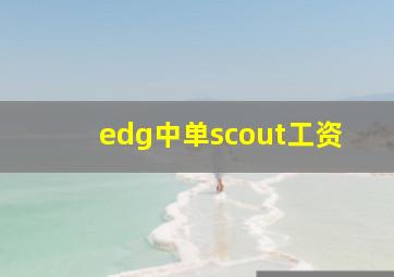 edg中单scout工资