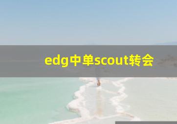 edg中单scout转会