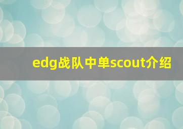 edg战队中单scout介绍