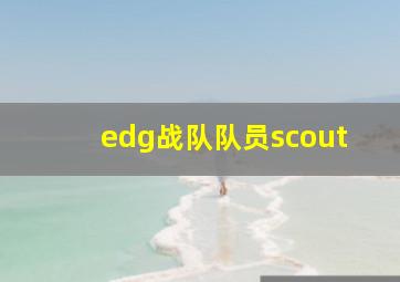 edg战队队员scout