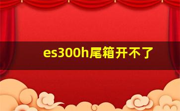 es300h尾箱开不了