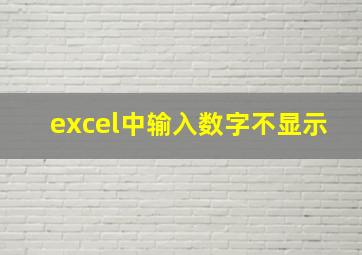 excel中输入数字不显示