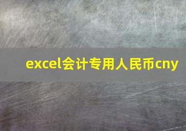 excel会计专用人民币cny