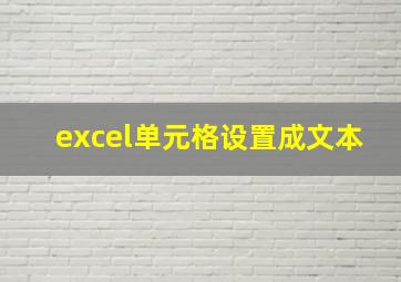 excel单元格设置成文本