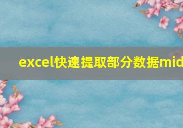 excel快速提取部分数据mid