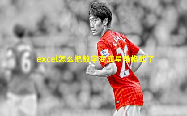 excel怎么把数字变成星号格式了