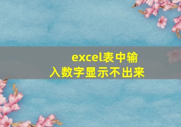 excel表中输入数字显示不出来