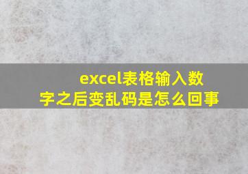 excel表格输入数字之后变乱码是怎么回事